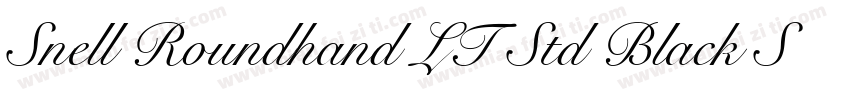 Snell Roundhand LT Std Black Script字体转换